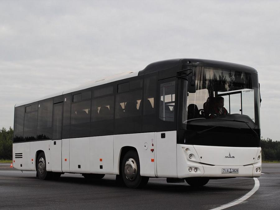 МАЗ-231 Алеся '2010